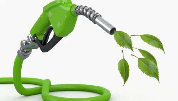 Green Light Europe: F1's Bold Eco-Shift for a Sustainable Racing Future