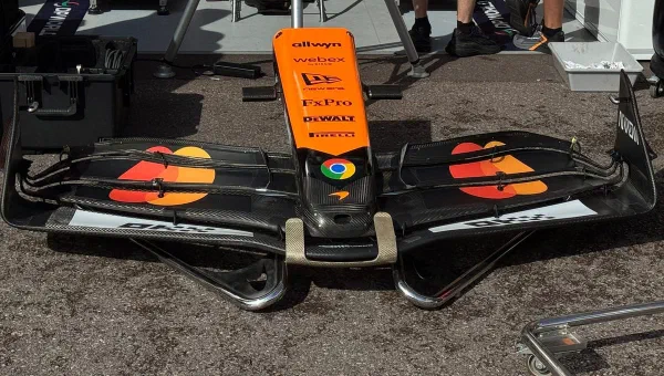 The Clampdown on Flexible Wings